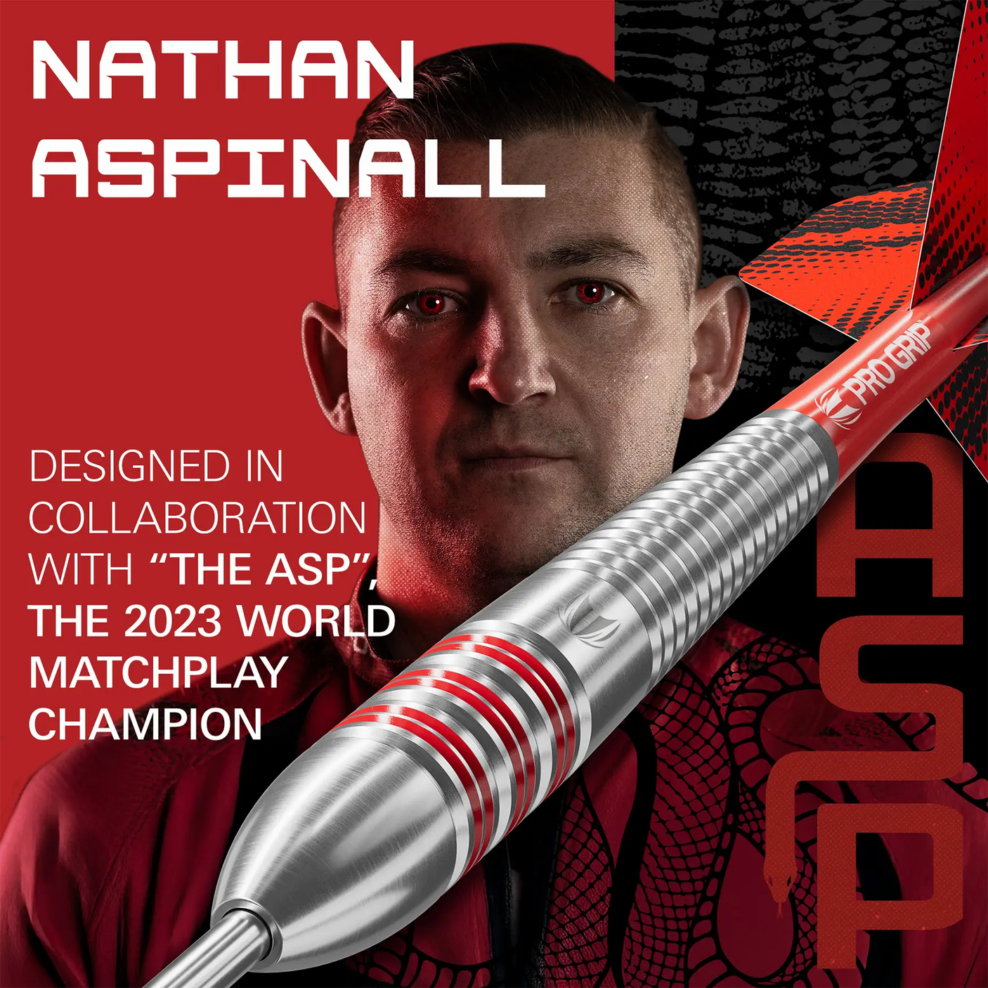 Target Darts Nathan Aspinall Brass Steel Tip Darts