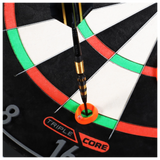 Winmau Simon Whitlock Practice Ring